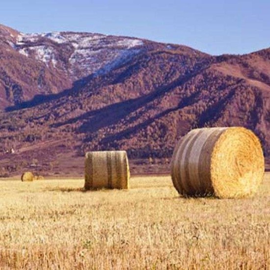 Διχτυ Χορτοδεσιας Tama Novatex Premium 3.85Κμ x 1,23