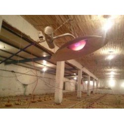 Θερμομητέρα SPH27 8KW για 1500-2000 κοτοπουλάκια Ακριβείας