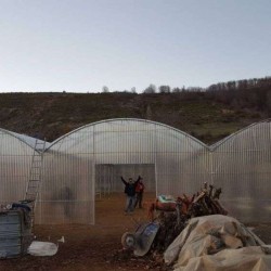 Θερμοκηπιο τοξοτο 3 κολπων 21 πλάτος X 22,5 μήκος 470 τ.μ. Πολυεστερικη επικαλυψη