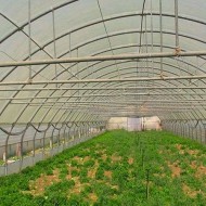 ΔΙΧΤΥΟΚΗΠΙΟ 9Χ20 ΜΕ ΔΙΧΤΥ 90% ΣΚΙΑΣΗΣ 