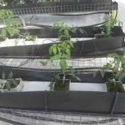 Κανάλι Υδροπονίας Μαύρο σε ρολό Μήκος 120μ 23 πάτος 6cm πλαϊνά Πάχος 7 χιλιοστά