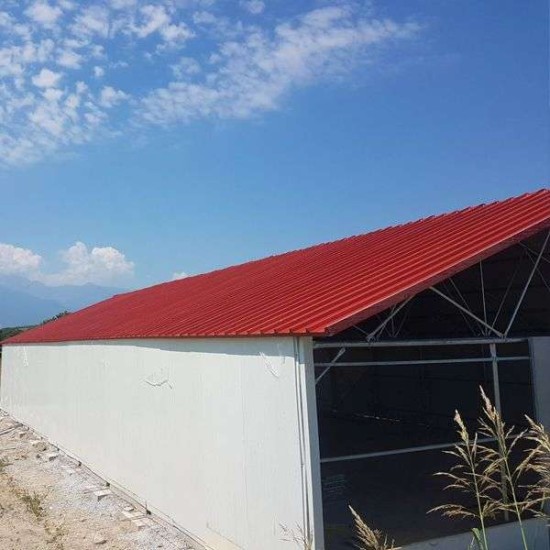 Πτηνοτροφείο Αμφικλινές Θερμοκηπιακού Τύπου 10μ Χ100μ με ύψος 4,5μ με Απαλλαγή Οικοδομικής Άδειας με Σκελετό 2" και Πάνελ 4mm και Δυναμικό Εξαερισμό