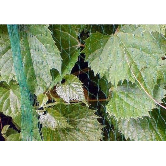 Δίχτυ Προστασίας Πουλιών Διάσταση 4 x 250