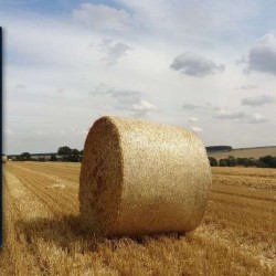 Διχτυ Χορτοδεσιας Cotesi 2Κμ x 1,23. Για 36 τεμ. (Παλετα)