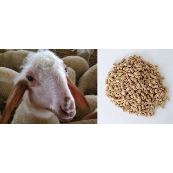 Μίγμα Αρνιών  Πάχυνσης, Μεγάλης Απόδοσης,  15 % πρωτεΐνη, Ν31K (PELLETS)  Σακί 40 κιλών