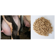 Συμπύκνωμα Γαλακτοπαραγωγής  ΓΑΛΑΚΤΟΠΑΡΑΓΩΓΗΣ σε Pellets  ΠΡΟΒΑΤΩΝ & ΑΙΓΩΝ Ν42KS, Ολικές Αζωτούχες 25 % , "στήσιμο" 250 λίτρα / σεζόν 