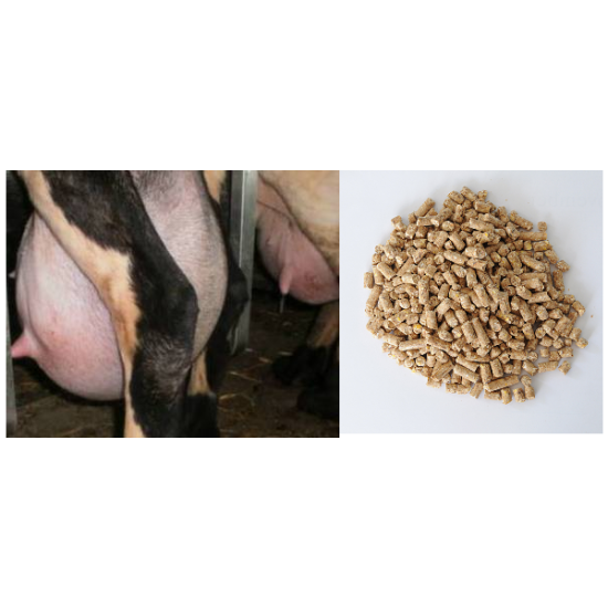 ΜΙΓΜΑ ΓΑΛΑΚΤΟΠΑΡΑΓΩΓΗΣ σε Pellets ΠΡΟΒΑΤΩΝ & ΑΙΓΩΝ Ν42KS, Πρωτεΐνη 16,5 % , "στήσιμο" 250 λίτρα/σεζόν 1.4 ΤΟΝ, 30 ΣΑΚΙΆ