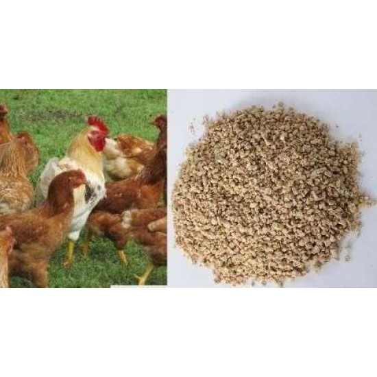 Φύραμα Κρεατοπαραγωγής για Κοτοπουλάκια Ν21Κ 19% Πρωτεΐνη από 1η μέρα 40 κιλά (τραχανάς)