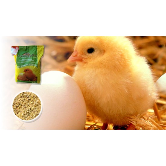 Φύραμα Κρεατοπαραγωγής για Κοτοπουλάκια Ν21 17% Πρωτεΐνη από 1η μέρα 40 κιλά (Σκόνη)