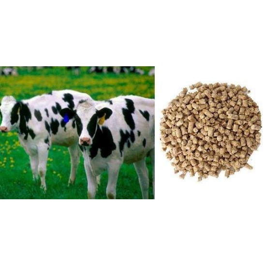 Μείγμα Πάχυνσης ΜΟΣΧΩΝ σε Pellets N10KSP 16% Πρωτεΐνη 40 κιλά από τον 4ο Μήνα (100 κιλά Σ.Β.) μέχρι Σφαγής