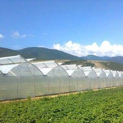 Θερμοκήπιο Γοτθικού Τύπου Πλάτους 15 μέτρων
