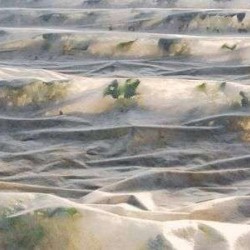 ΥΦΑΣΜΑ ΦΥΤΟΚΑΛΥΨΗΣ 25γραμ/τμ ΠΡΟΣΤΑΣΙΑΣ & ΜΟΝΩΣΗΣ 9.60 x 250m Non woven 