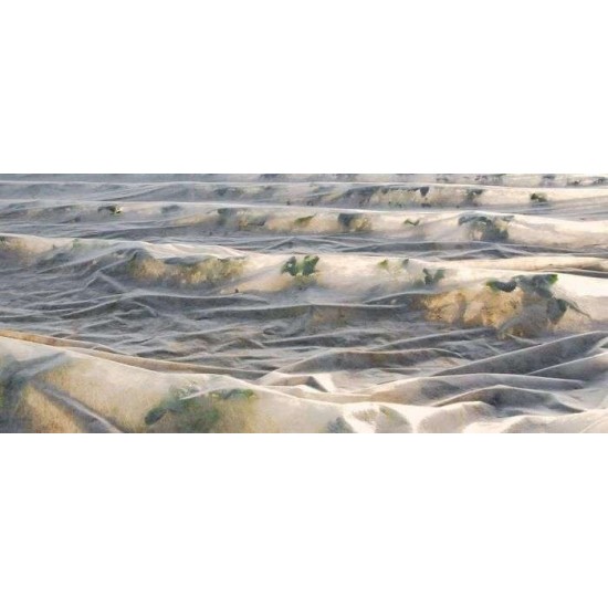 ΥΦΑΣΜΑ ΦΥΤΟΚΑΛΥΨΗΣ 25γραμ/τμ ΠΡΟΣΤΑΣΙΑΣ & ΜΟΝΩΣΗΣ 9.60 x 250m Non woven 