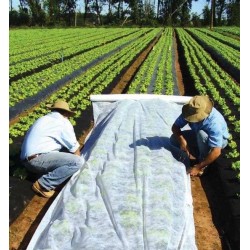 Αντιπαγετικό ρολό ύφασμα φυτών  Non woven 18 γραμ Προστασία από τον πάγο (ρολά σε διάφορες πλάτη)