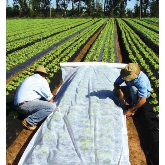 Αντιπαγετικό Ύφασμα Φυτών Non Woven  σε ρολό 3,2x 500 για προστασία από τον πάγο 