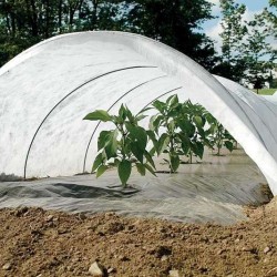 Αντιπαγετικό ρολό ύφασμα φυτών Non woven Προστασία από τον πάγο 4Χ250 25gr