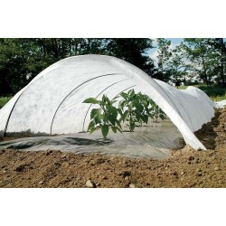 Αντιπαγετικό ρολό ύφασμα φυτών Non woven Προστασία από τον πάγο 4Χ250 25gr