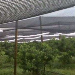 Δίχτυα monofilament 70gr/m2