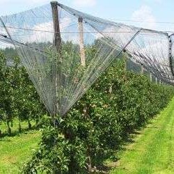 Δίχτυ Αντιχαλαζικό Μαύρο Πράσινο Arrigoni Ιταλίας 46 gr/m2 4Χ100