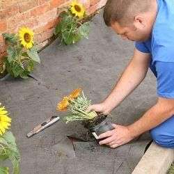 Μη υφαντό ύφασμα εδαφοκάλυψης 50gr/m2 Non Wooven