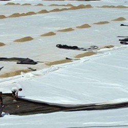 Μη Υφαντό Γεωύφασμα Non Wooven 140 γρ/τμ Protection Διάσταση 5.4μ Χ 100μ Μη Υφαντό Γεωύφασμα Non Wooven 140 γρ/τμ Protection Διάσταση 5.4μ Χ 100μ
