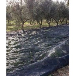 Ανέμη Συλλογής Καρπού NET ROLLER MACHINE CRF Ιταλίας