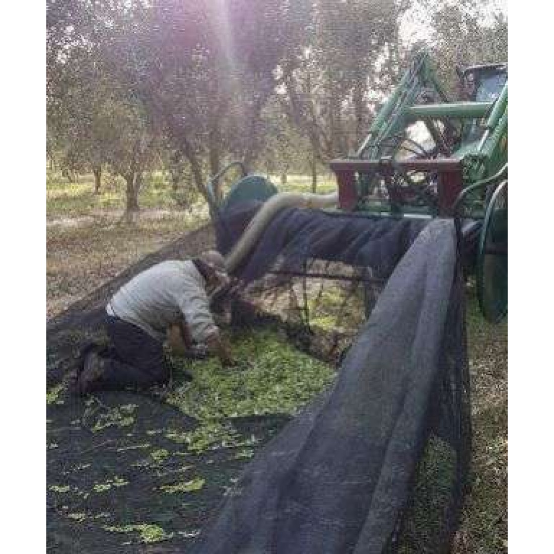 ΔΙΧΤΥΑ ΣΑΚΙΑ ΕΛΑΙΟΡΑΥΔΙΣΤΙΚΑ ΑΝΑΛΩΣΙΜΑ 