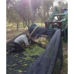 Ελαιόδιχτο Πράσινο σε ρολό 4,5μΧ50μ Ελληνικά 100 γρ