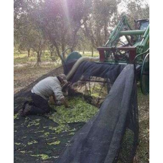 Ελαιόδιχτο Πράσινο σε ρολό 6μΧ300μ Ελληνικά 100 γρ