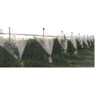 ΔΙΧΤΥ ΑΝΤΙΧΑΛΑΖΙΚΟ Λευκο 80gr/m2 3Χ50m