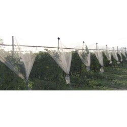 ΔΙΧΤΥ ΑΝΤΙΧΑΛΑΖΙΚΟ Λευκο 65gr/m2 2,20Χ100m ΔΙΧΤΥ ΑΝΤΙΧΑΛΑΖΙΚΟ Λευκο 65gr/m2 2,20Χ100m