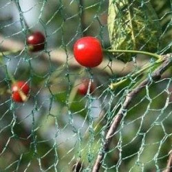 Δίχτυ Προστασίας πτηνών πουλιών Μισινεζας 30 γρ Πράσινο 4x100, Ματι 5x7,5 mm Πλαστικά Θράκης 