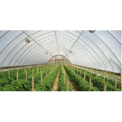 Σίτα Προστασία από έντομα  πυκνή (Θρίπα) Νο 20/10 mesh 50