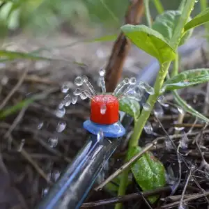 ΑΡΔΕΥΣΗ (ΣΤΑΛΑΚΤΗΦΟΡΟΙ ΣΩΛΗΝΕΣ / ΤΑΙΝΙΕΣ )